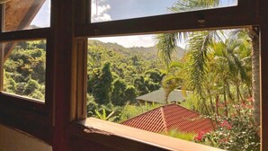 Vista desde una ventana sobre un paisaje exuberante y verde, con una casa y palmeras.