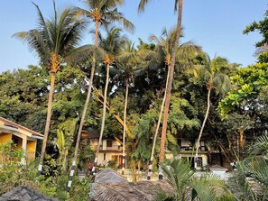 View from property - Ondas Do Mar Beach Resort Phase 1 (Calangute)