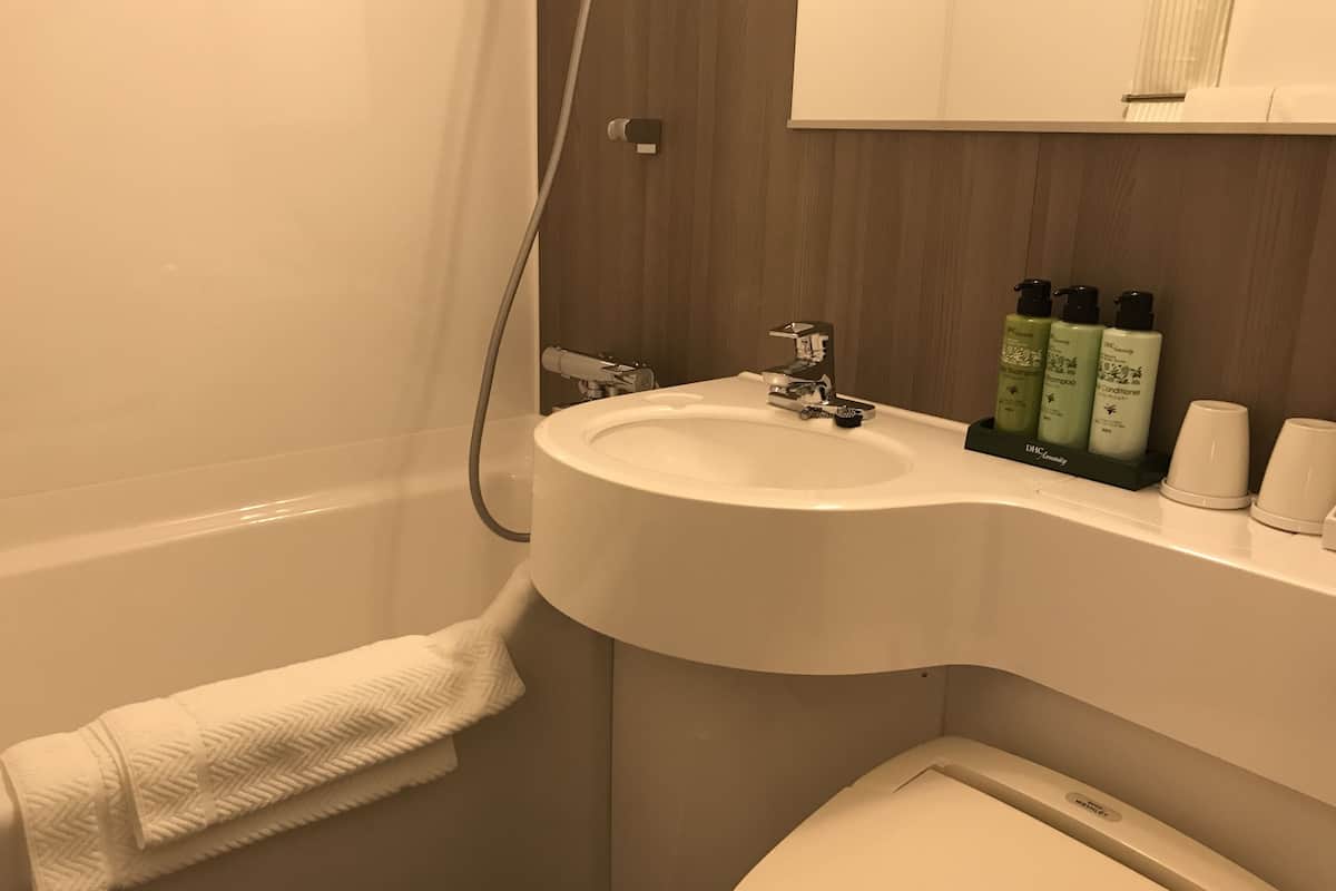 combined shower/bathtub, free toiletries, hair dryer, slippers