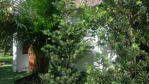 Ein weißes Gebäude, umgeben von üppiger Vegetation, darunter eine große Palme und verschiedene Sträucher.