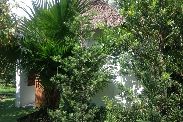 Economy Bungalow, 1 Double Bed, Garden View | Egyptian cotton sheets, premium bedding, pillow-top beds, minibar