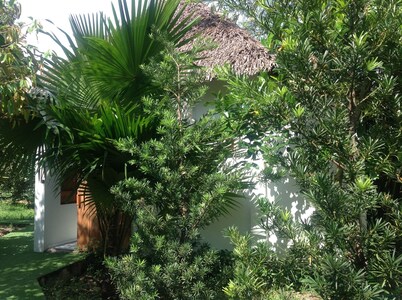 The Durian Lodge at Mekong