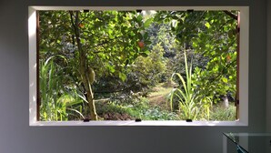 Ein Fenster mit Blick auf einen üppigen Garten, der verschiedene Pflanzen und Bäume zeigt.