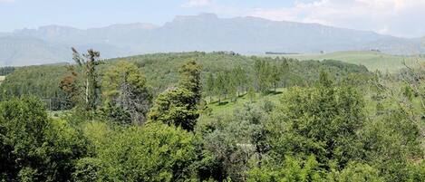 A landscape with a grassy field, dense trees, and distant mountains.
