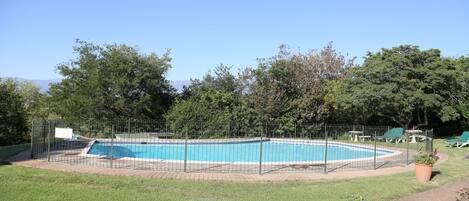 Una piscina rectangular rodeada por una cerca de metal, con un área verde al frente y árboles al fondo.