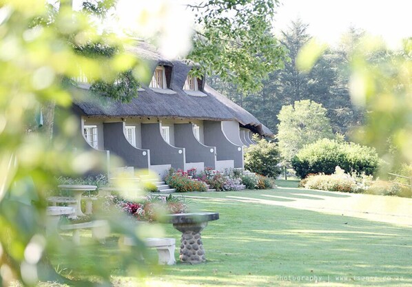 Garden - The Nest Drakensberg Hotel (Cathkin Park)