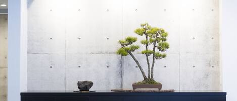 A reception area with a concrete wall, a bonsai tree, and a dark-colored cabinet.