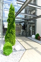 Una entrada moderna a un edificio con puertas de cristal, un seto alto de color verde y una escultura blanca esférica.