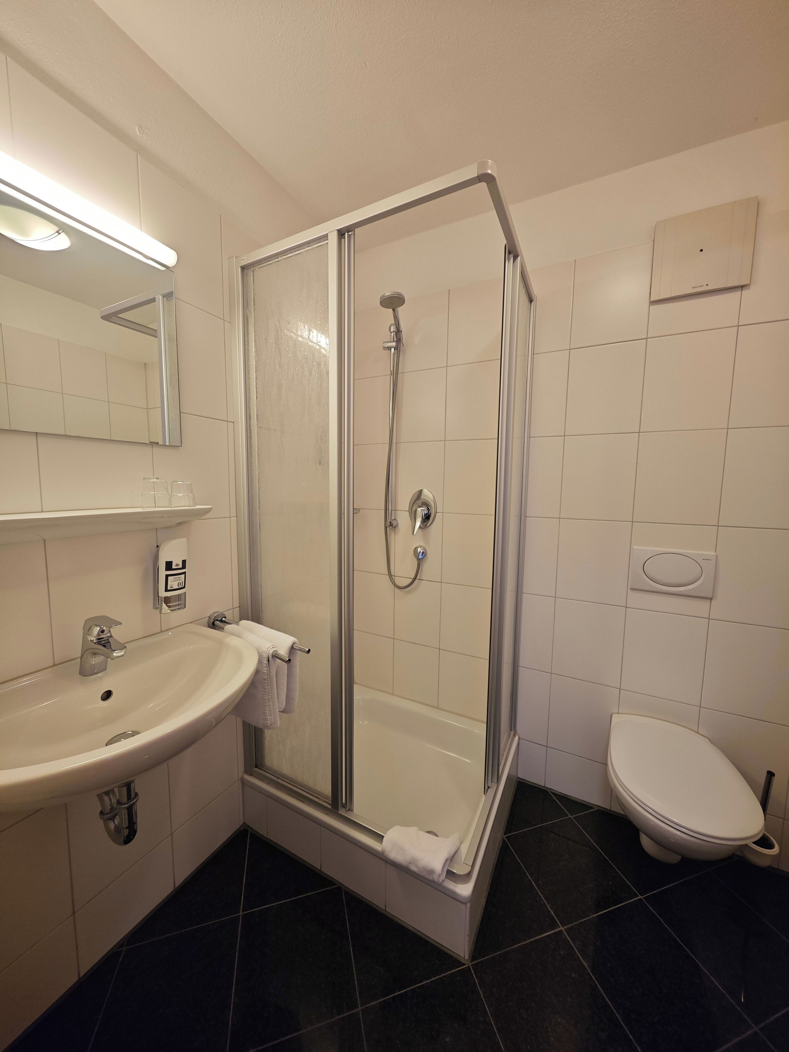 Un bagno con doccia vetrata, lavandino con specchio e WC.