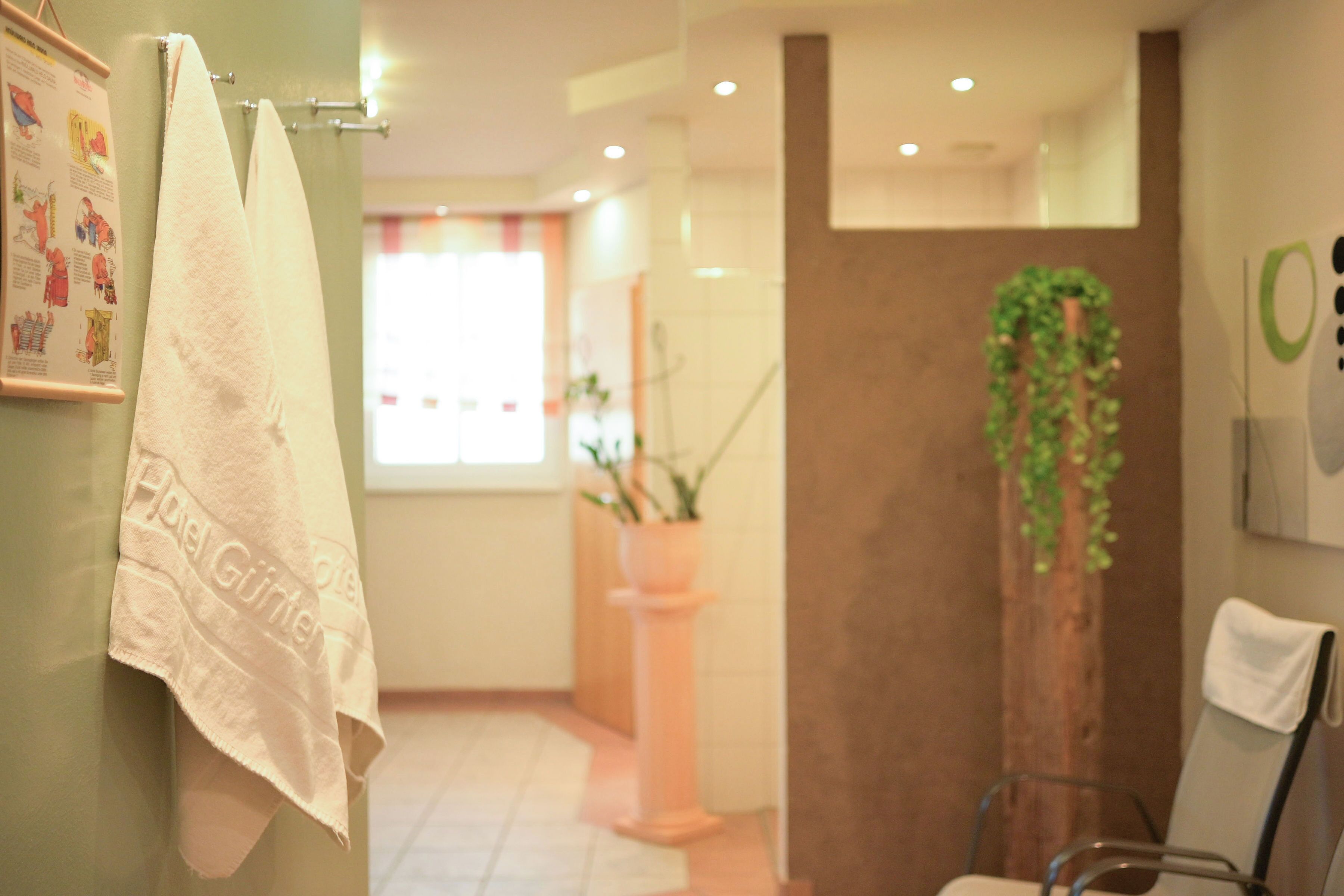 Ein Badezimmer mit Handtuchhalter, einer Topfpflanze und einem Stuhl.