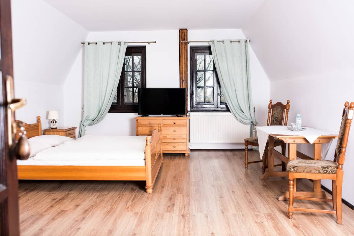 Een slaapkamer met een bed, een televisie, een dressoir, een tafel met een stoel en twee ramen met gordijnen.