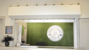 A reception desk with a green wall, a logo, and a shelf with small plants. - Bridge Backpackers (Nelson)
