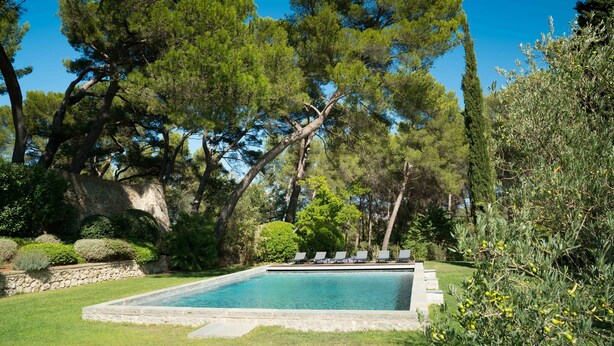 Una piscina rectangular con borde de piedra, rodeada de césped cuidado y varios árboles, incluyendo altos pinos.