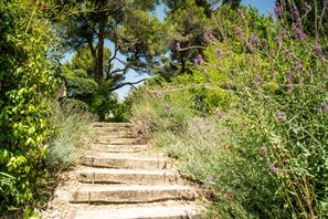 Property grounds - Domaine de Saint Clair (Aix-en-Provence)