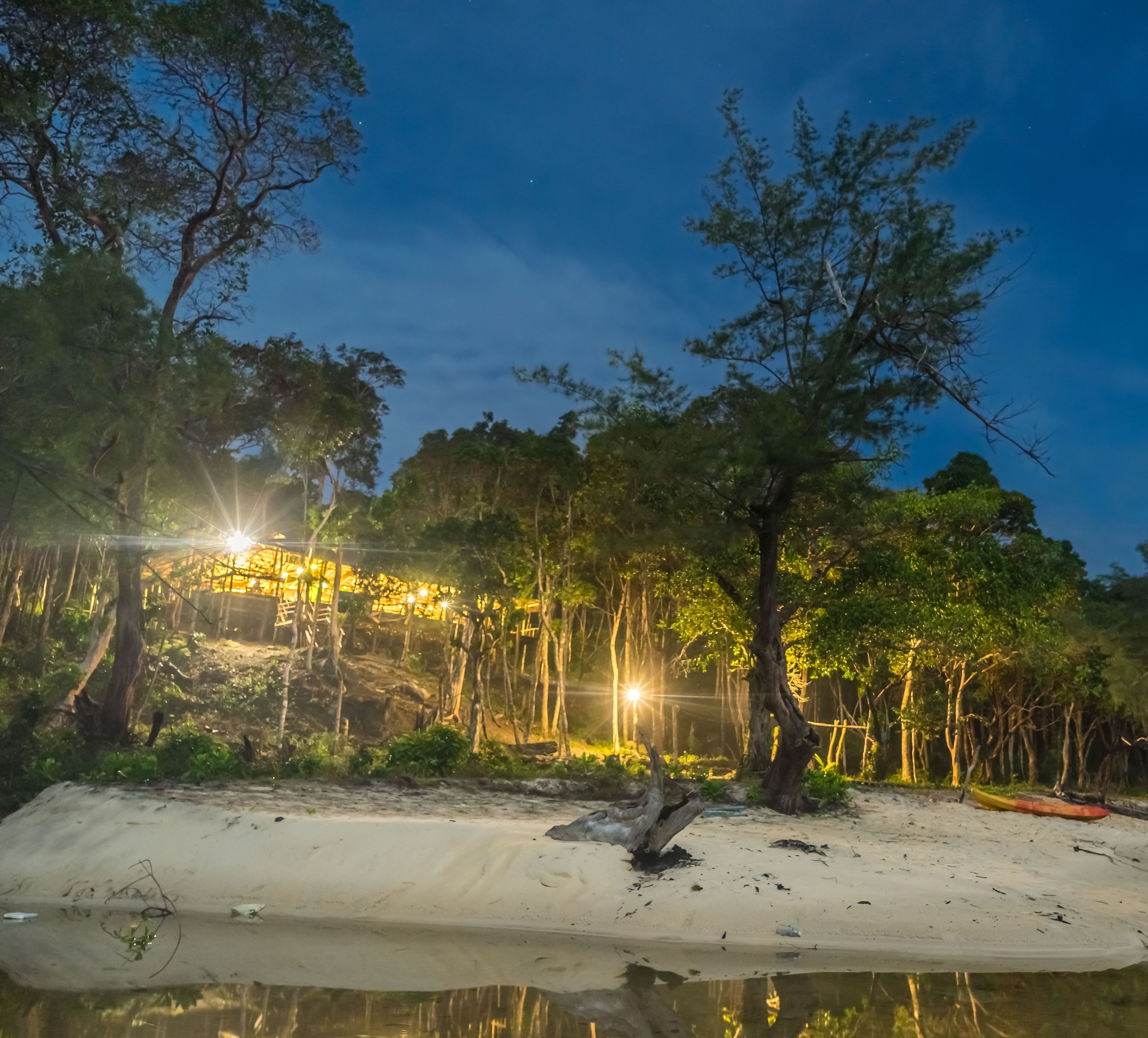 A beach with a sandy shore, trees, and a body of water reflecting light.