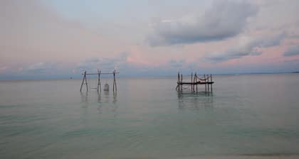 Driftwood Hostel and Bungalows