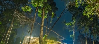 Driftwood Hostel and Bungalows