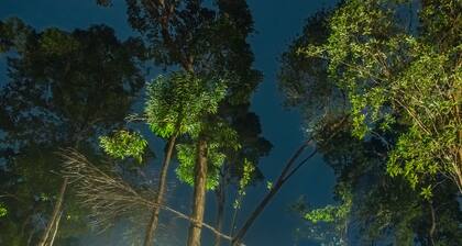 Driftwood Hostel and Bungalows
