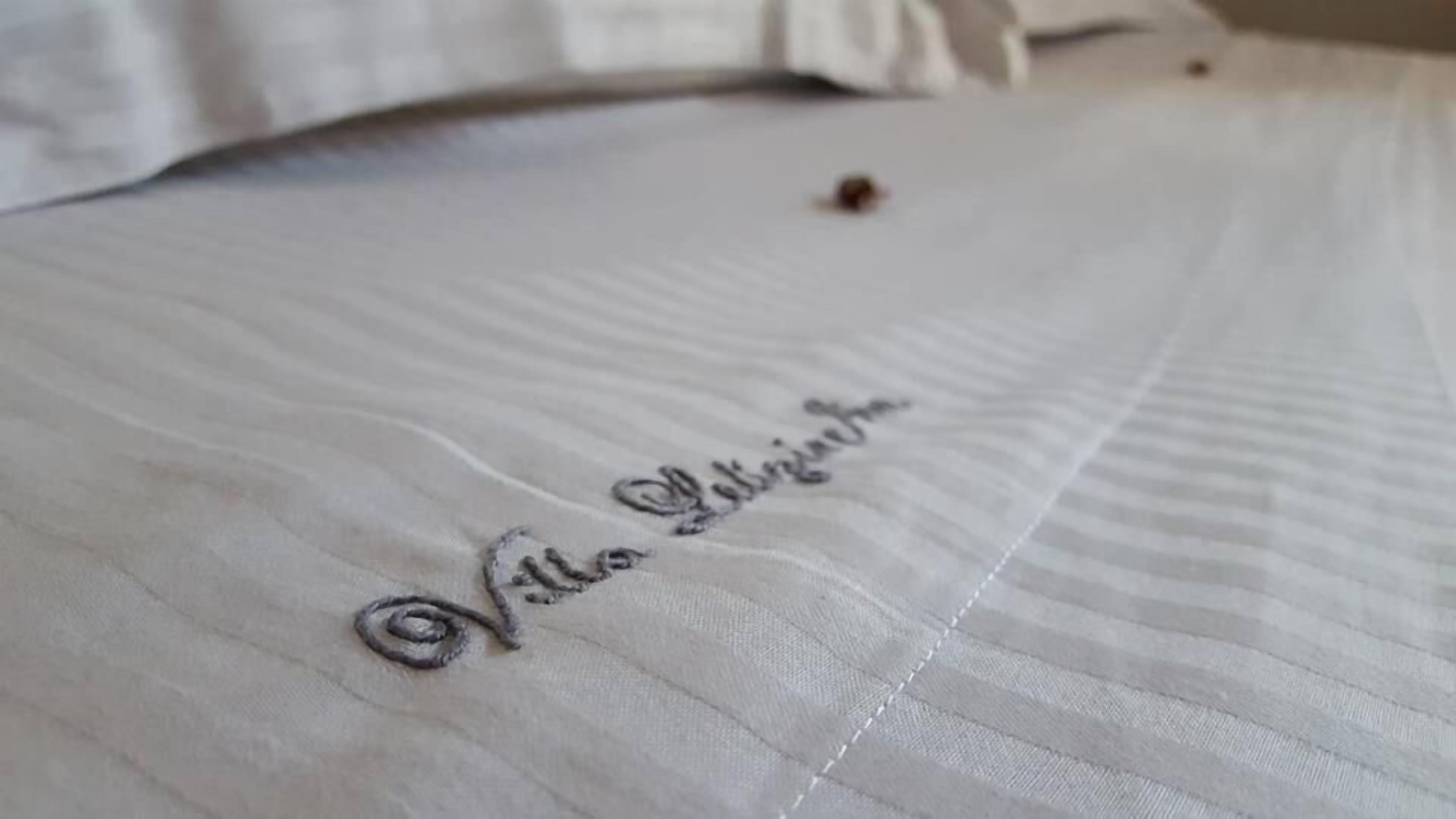 Primer plano de una cama con sábana blanca y un texto bordado decorativo.