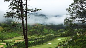 En golfbana med utsikt över dimhöljda kullar och tallskog.