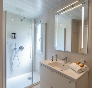 Shower, free toiletries, hair dryer, bidet