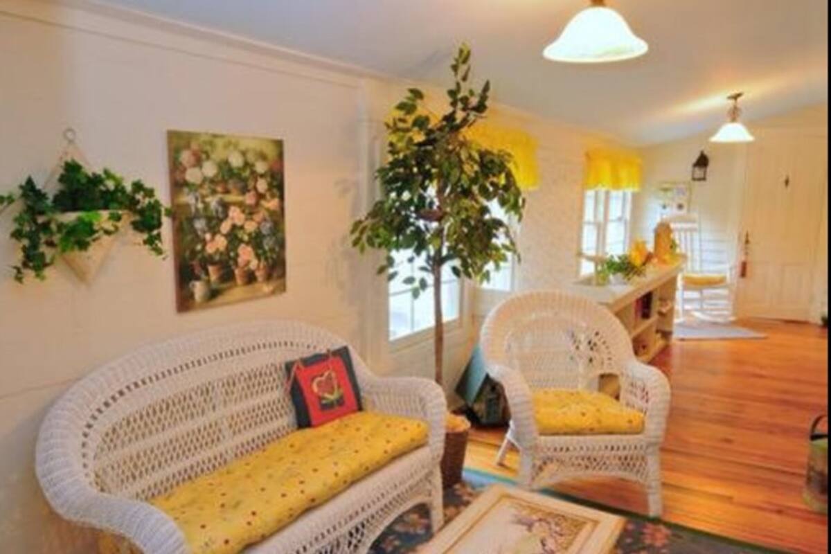 A cozy living room with wicker sofas and a large plant.