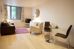 Una televisión de pantalla plana, un reproductor de DVD