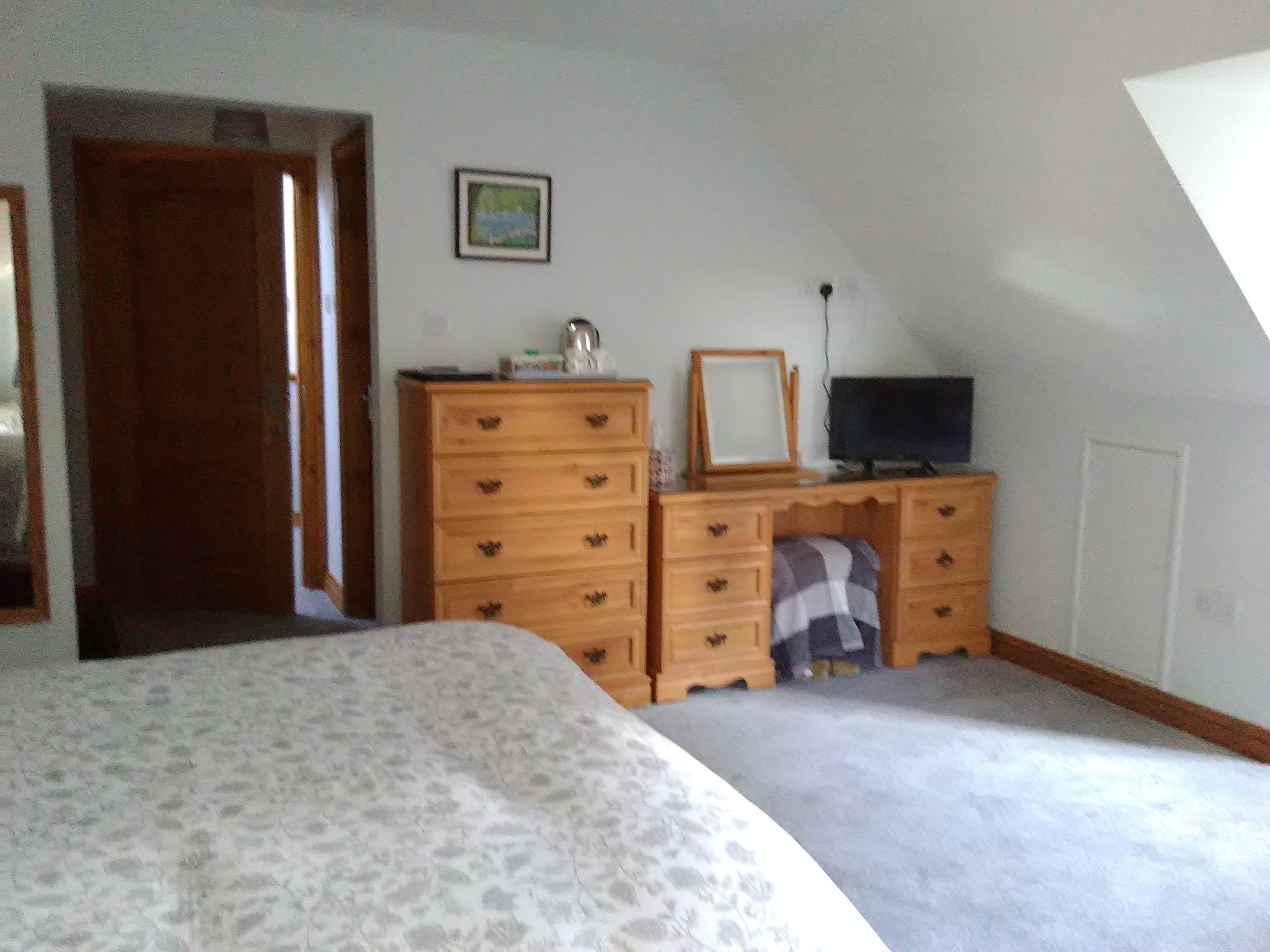 A bedroom with a bed, wooden dresser, television, and a framed picture on the wall.