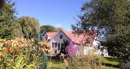 White Cottage B&B