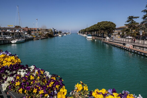 Un port de plaisance avec des bateaux amarrés, un ciel dégagé et une rangée d’arbres le long de la promenade.