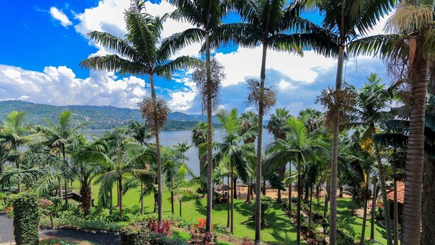 A tropical garden with palm trees, a pathway, and a view of a lake and mountains. - The Palm Beach Resort (Nyayumba)