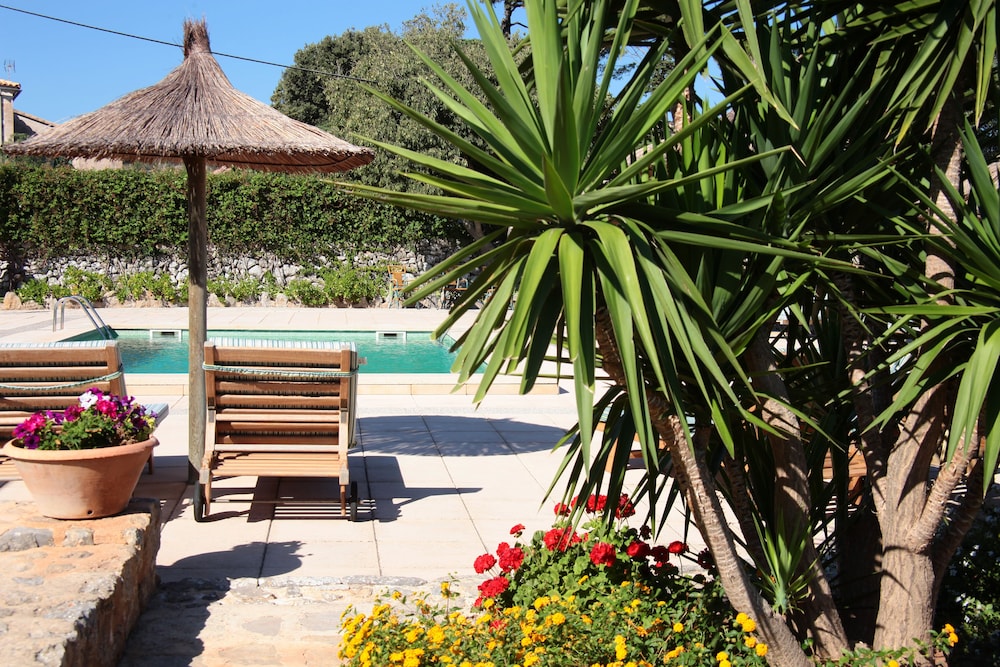 Ca's Garriguer by null