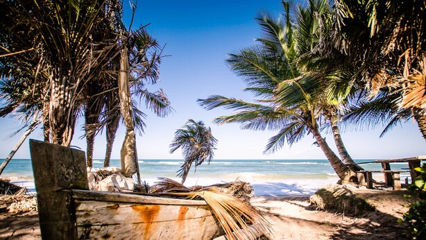A beach with palm trees, a wooden boat, and a wooden walkway.