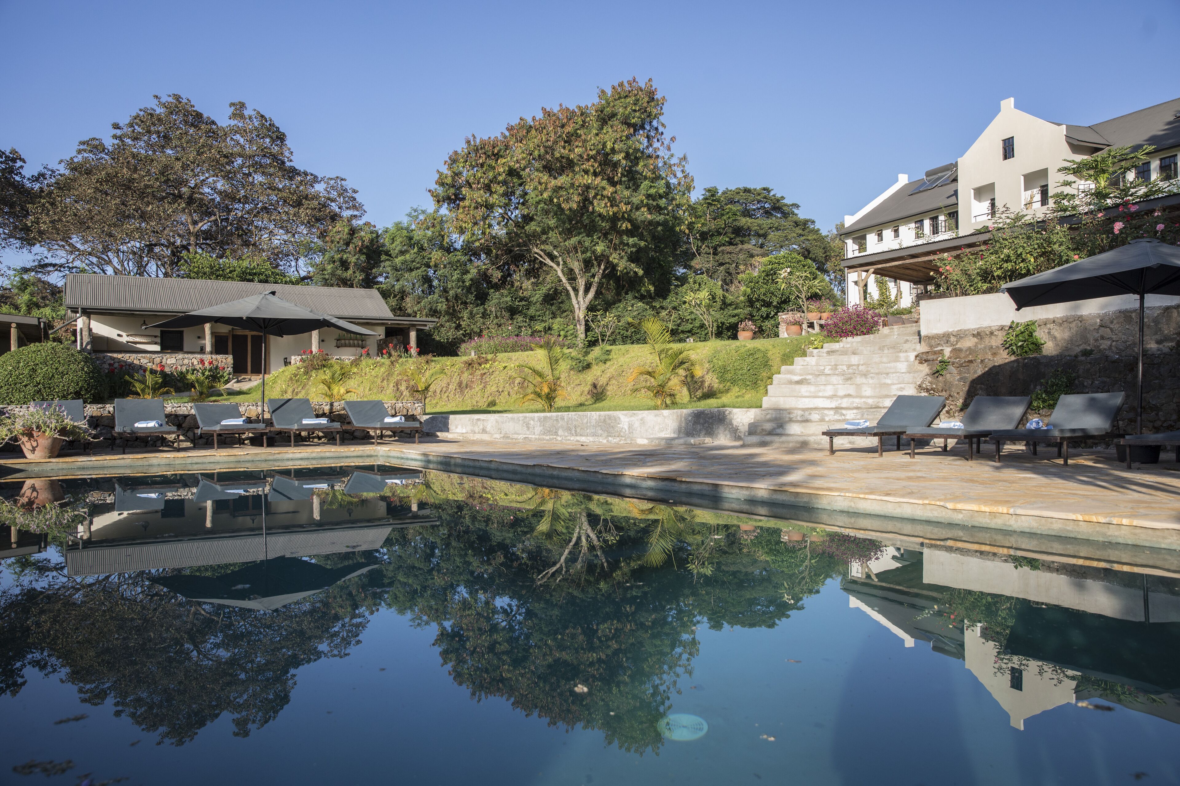 Outdoor pool, sun loungers
