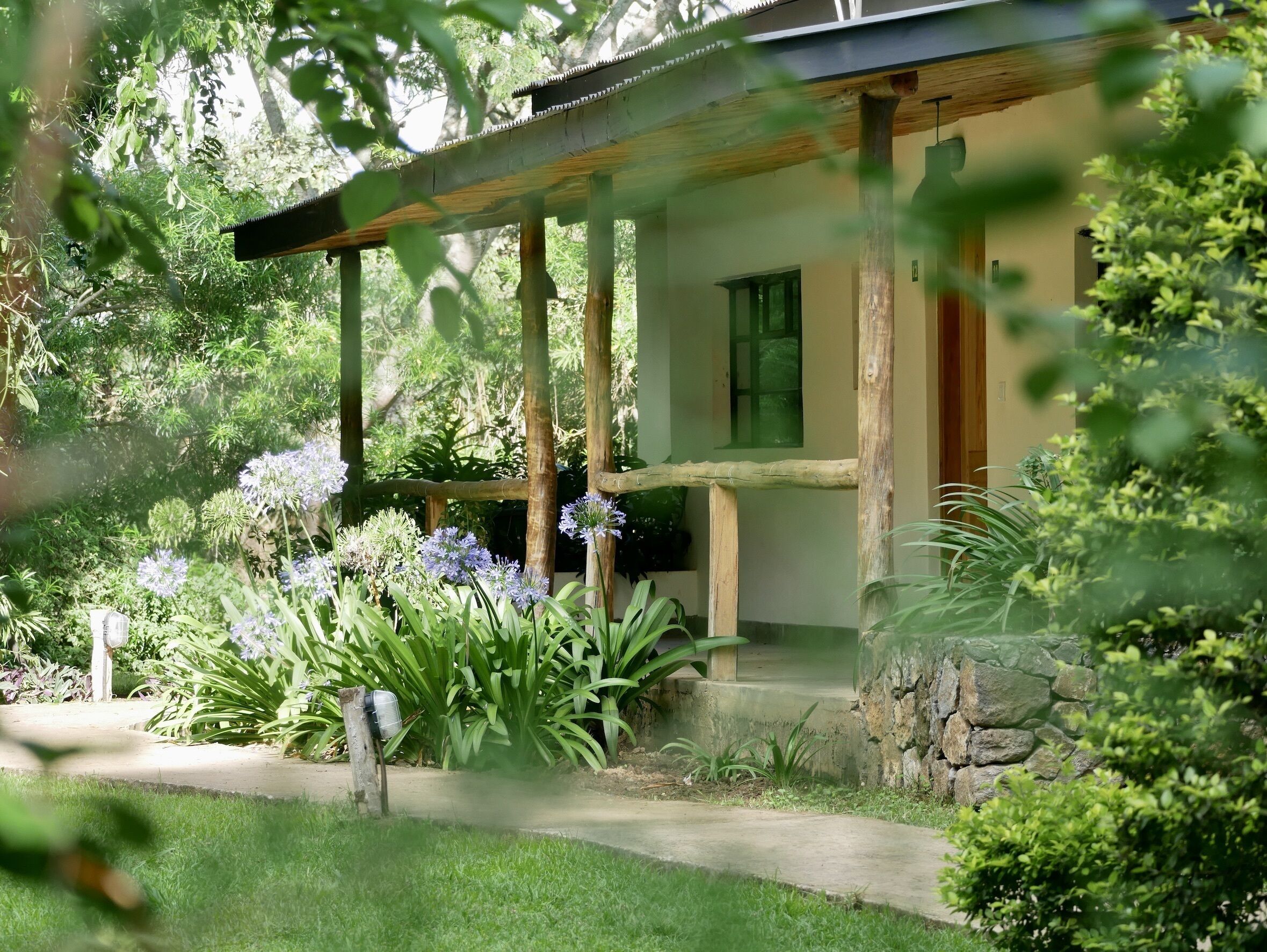 コンフォート ダブルルーム ガーデンビュー ガーデン | テラス / パティオ