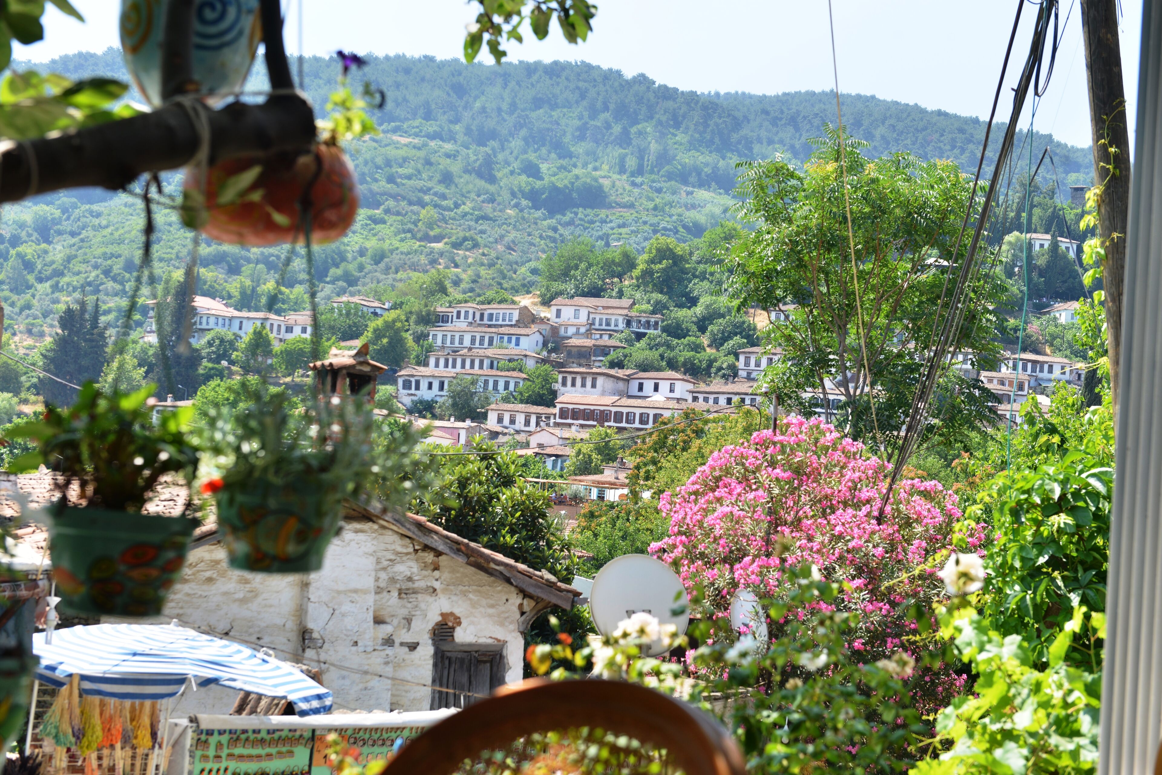 A view of a hillside village with traditional houses and lush greenery.