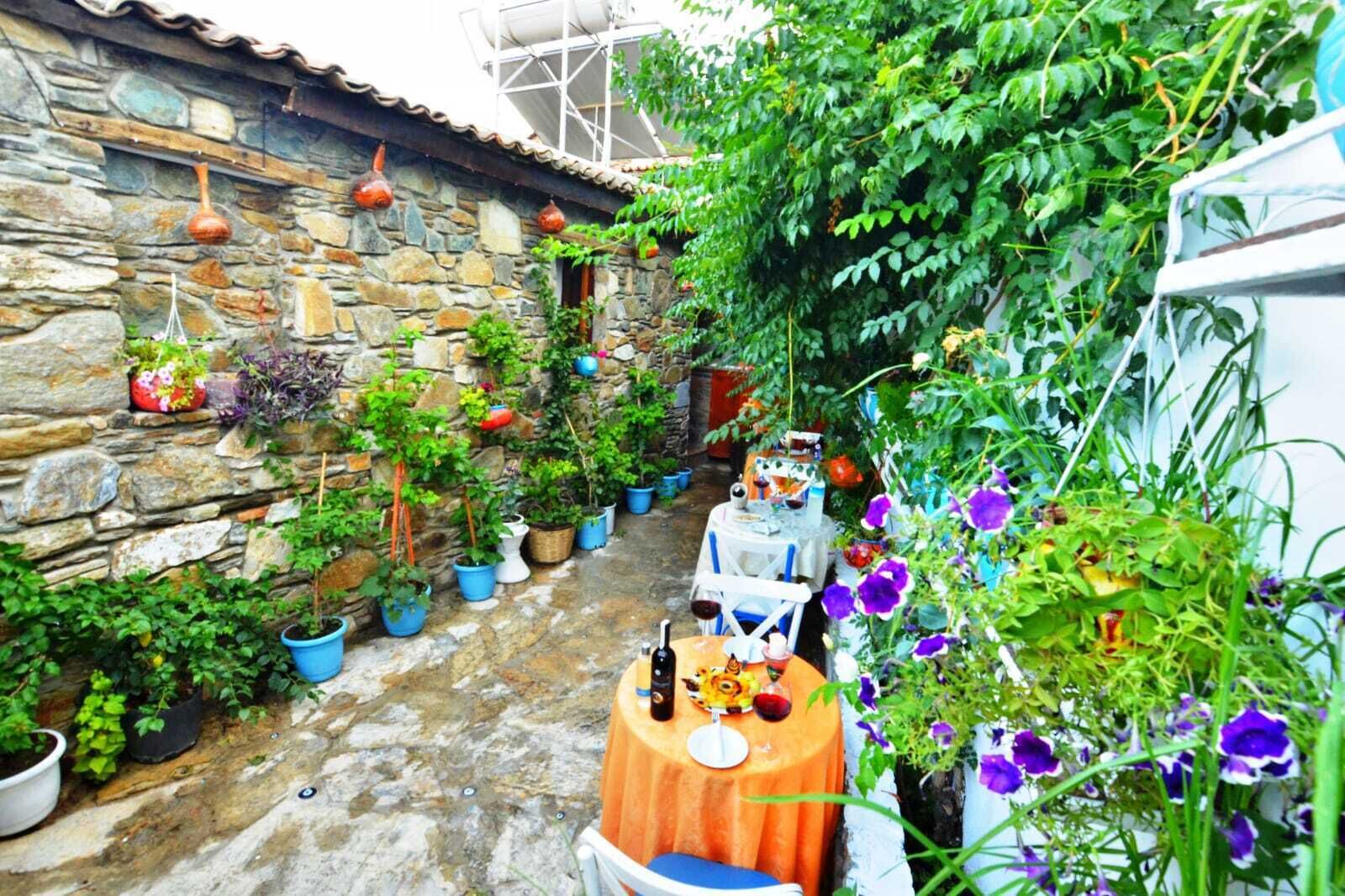 A narrow stone-walled courtyard with potted plants and a small table with a bottle and a glass.