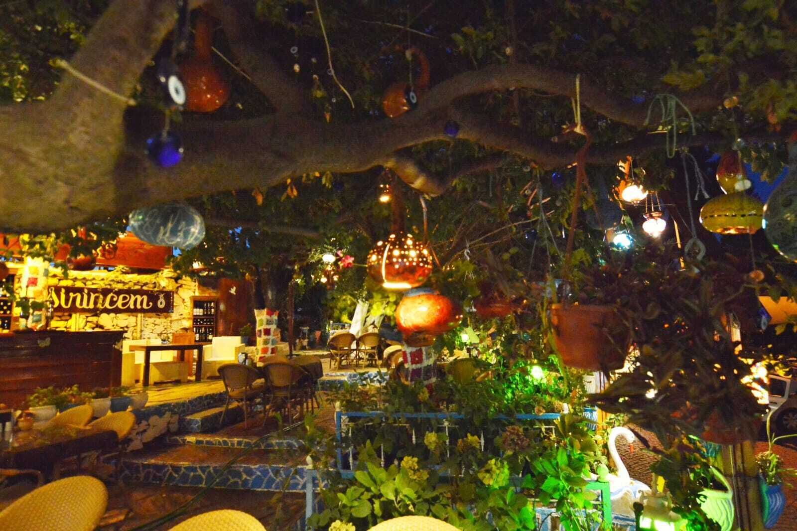 An indoor garden with hanging plants and a rustic stone wall with a sign.