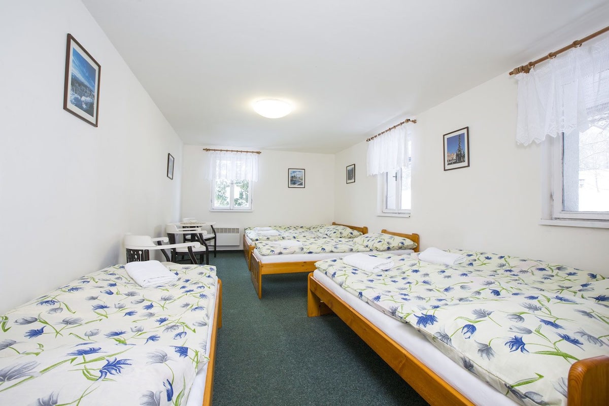 Desk, free cribs/infant beds, rollaway beds, bed sheets