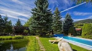A swimming pool with a stone, a lounge chair, and a stone path. - Chata Pod Lipami (Rokytnice nad Jizerou)