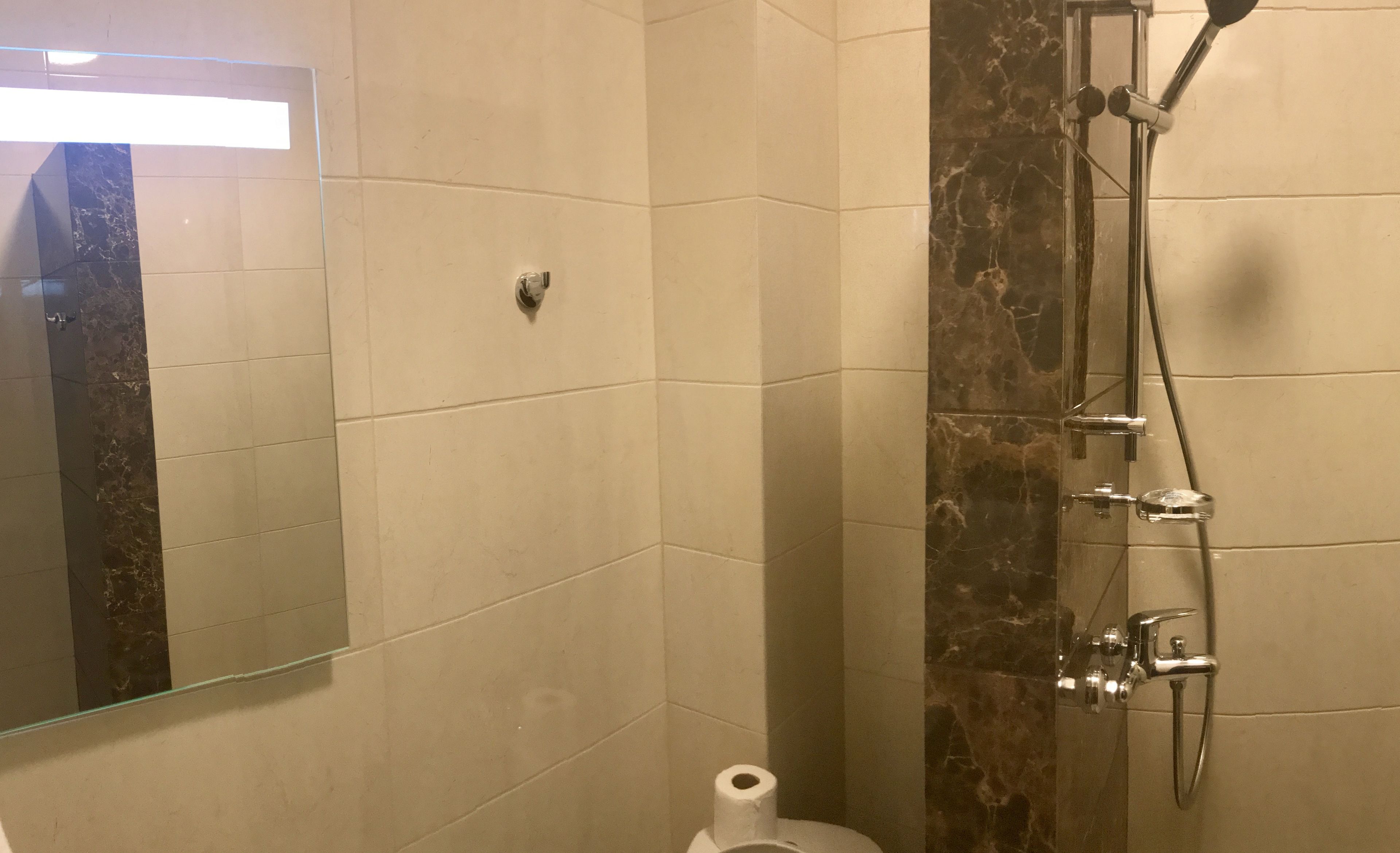 A bathroom with a shower, a toilet, and a mirror.