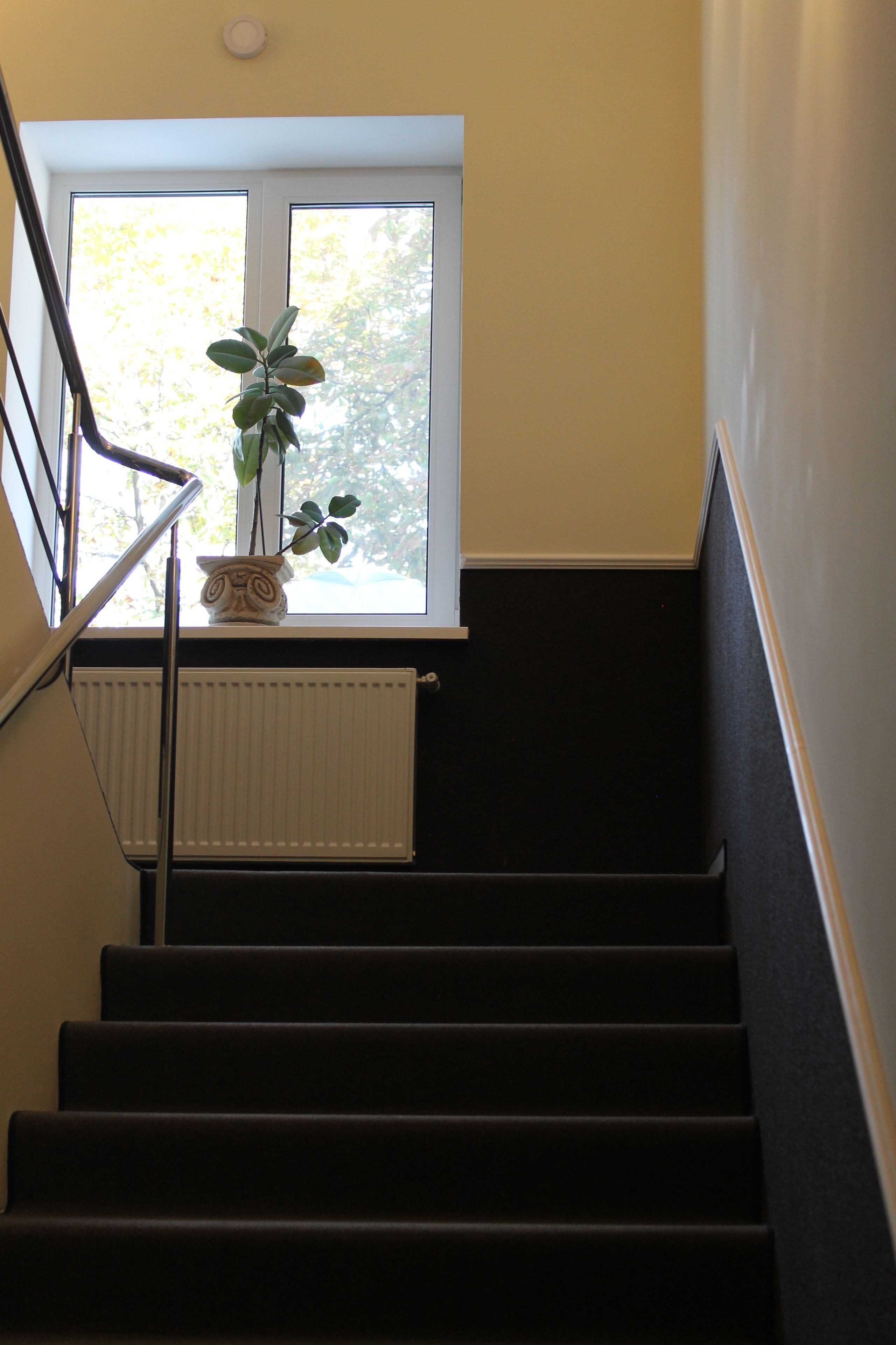 A staircase with a radiator and a window with a plant.