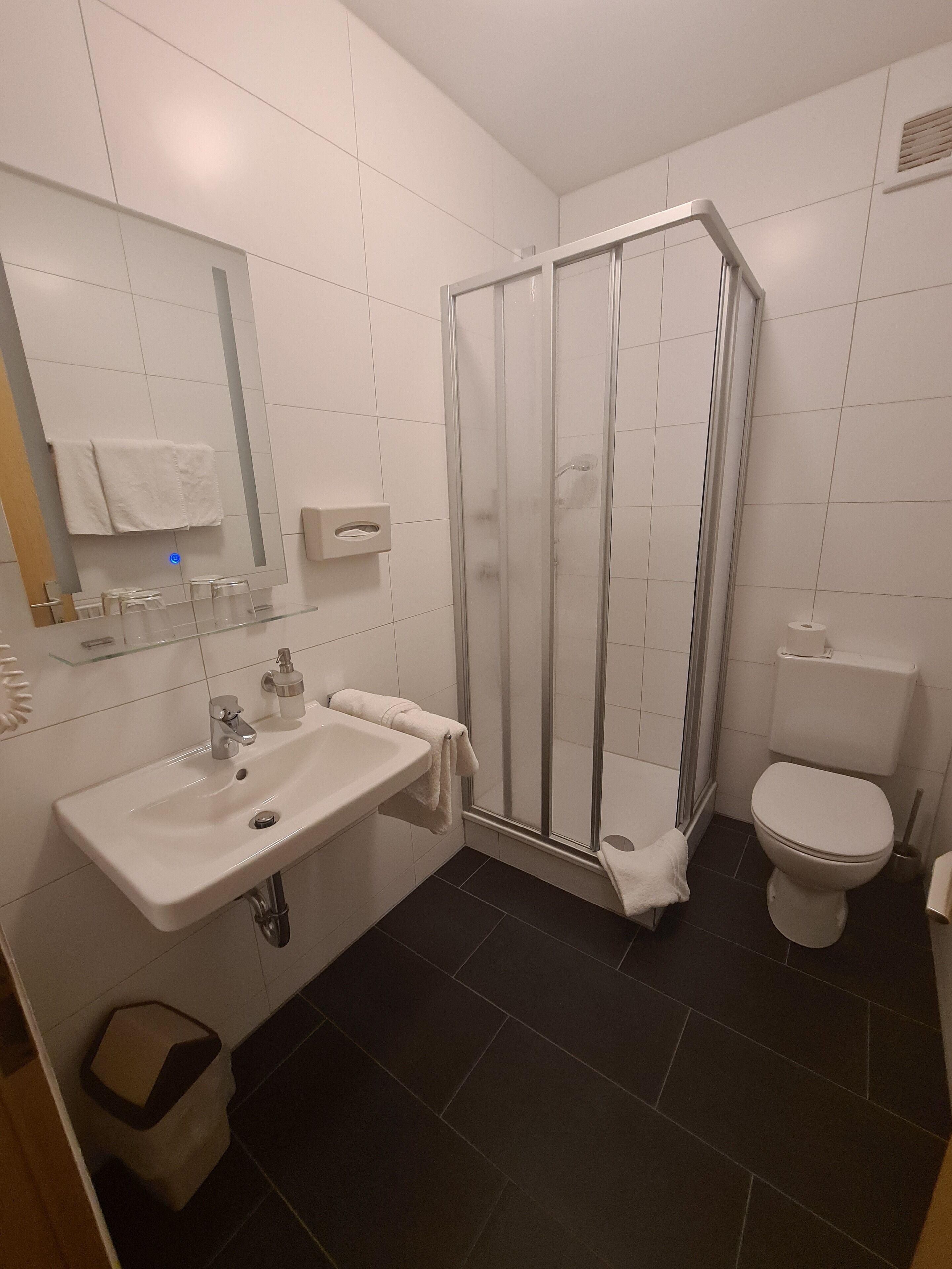 single room | bathroom | shower, free toiletries, towels
