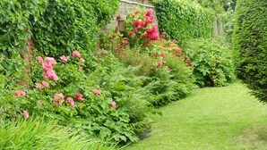 A lush garden with a variety of plants and flowers, a well-maintained lawn, and a brick wall partially covered by ivy. - BnB Les Greniers de Madelgaire (Soignies)