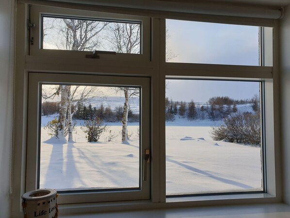 Comfort-lejlighed - 1 soveværelse (Apt 14) | Haveudsigt