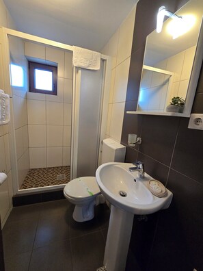 Shower, free toiletries, hair dryer, towels - Pensiunea Transilvania (Sibiu)