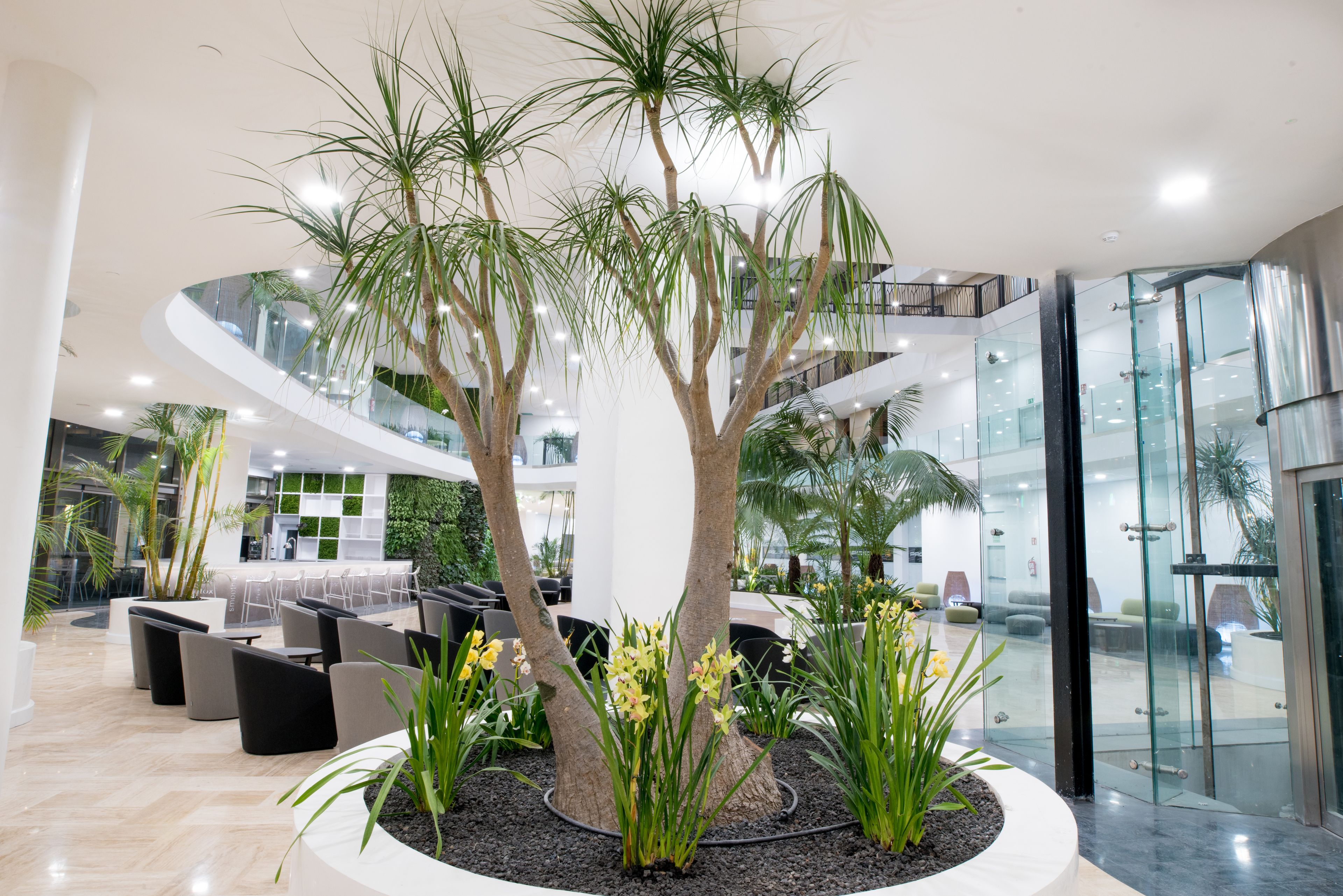 Eine moderne Lobby mit einem zentralen Atrium, Sitzbereichen und Glaswänden.