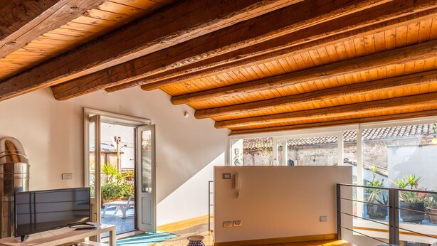 A room with a wooden ceiling, a television, a door leading outside, and a balcony with potted plants.