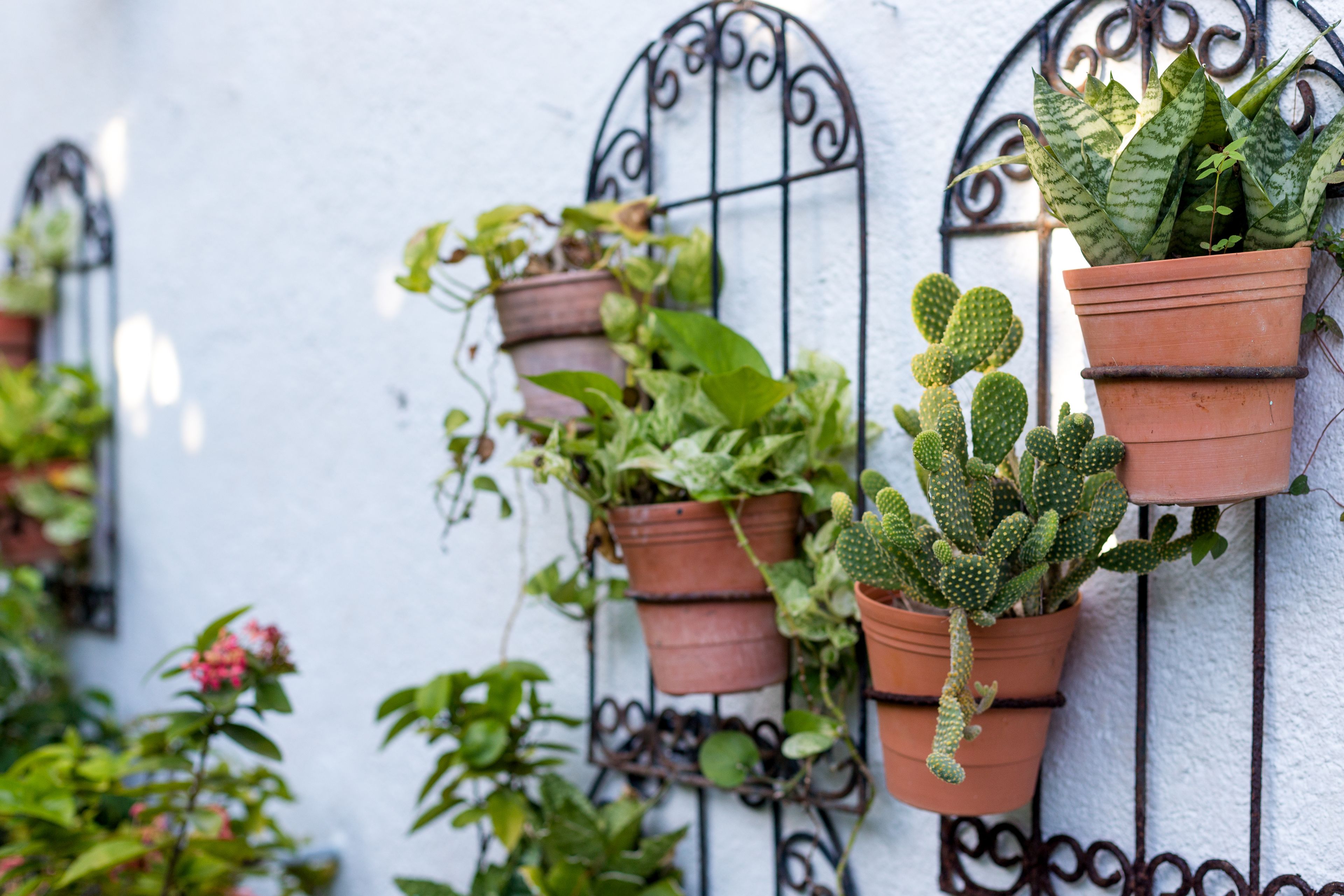 حمّام سباحة خارجي، مقاعد للتشمس