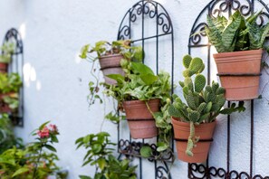 Outdoor pool, sun loungers - Merida Serviced Apartments (Mérida)